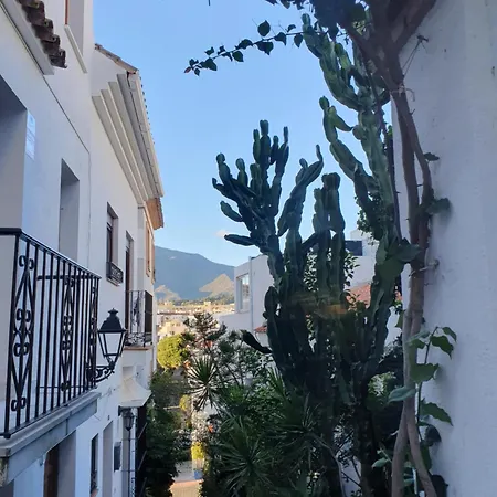Casa De Cactus *
